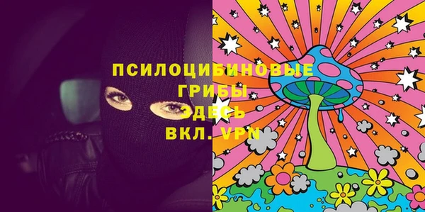 амф Мегион