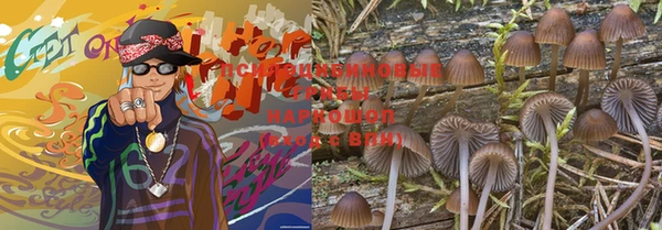 ГАЛЛЮЦИНОГЕННЫЕ ГРИБЫ Медвежьегорск