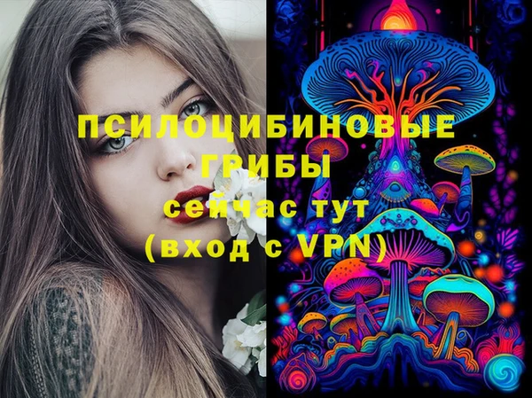 амф Мегион