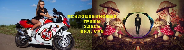 амф Мегион
