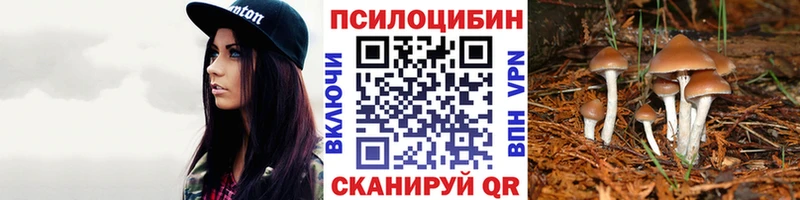 Галлюциногенные грибы мицелий  купить наркотики цена  Озёрск 